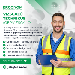 VIZSGÁLÓ TECHNIKUS (GÉPVIZSGÁLÓ)