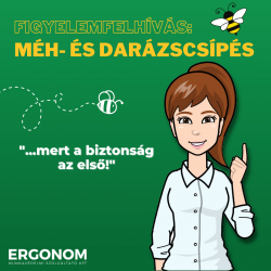 Figyelemfelhívás a méh- és darázscsípés veszélyeivel kapcsolatban